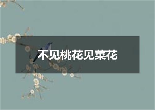 不见桃花见菜花