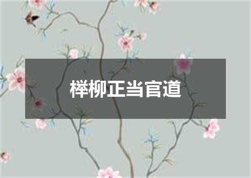 榉柳正当官道