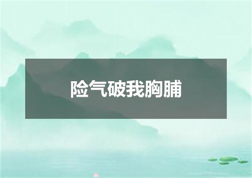 险气破我胸脯