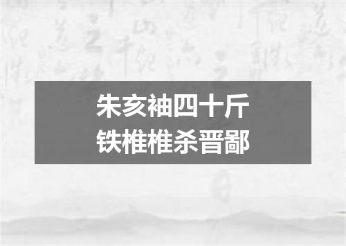 朱亥袖四十斤铁椎椎杀晋鄙