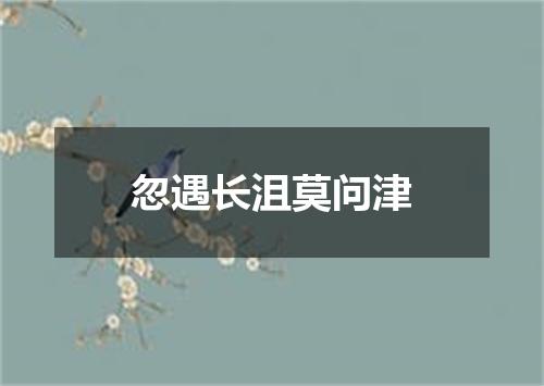 忽遇长沮莫问津