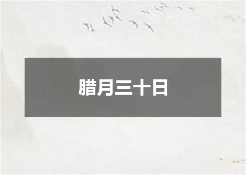 腊月三十日