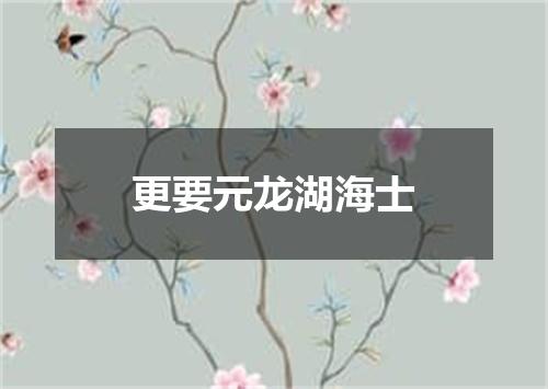 更要元龙湖海士