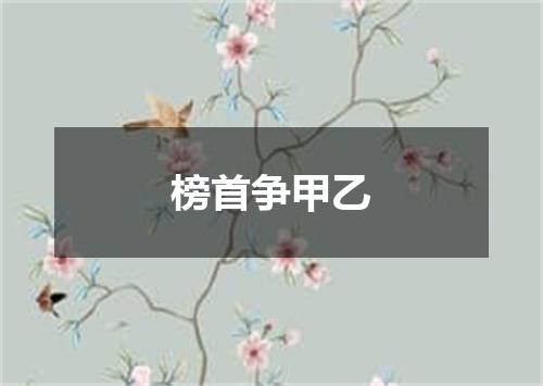 榜首争甲乙