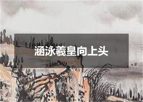 涵泳羲皇向上头