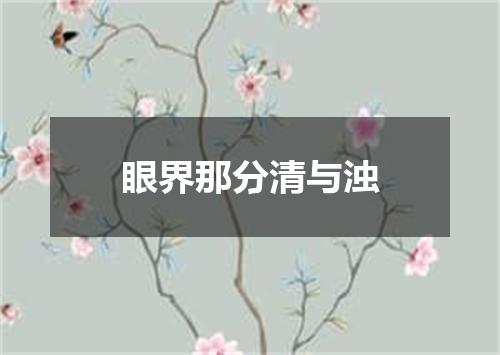 眼界那分清与浊