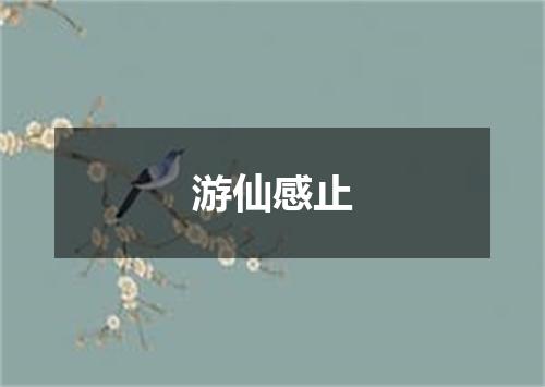 游仙感止