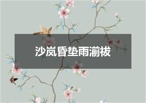 沙岚昏垫雨湔祓