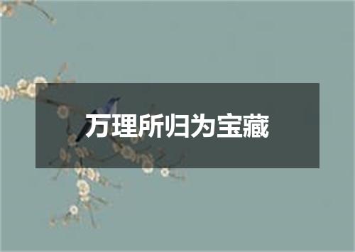 万理所归为宝藏