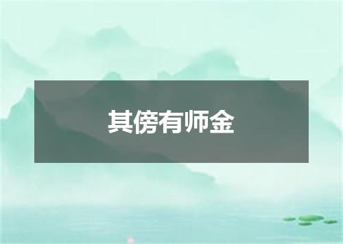 其傍有师金