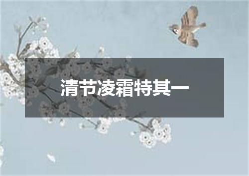 清节凌霜特其一