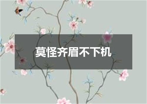 莫怪齐眉不下机