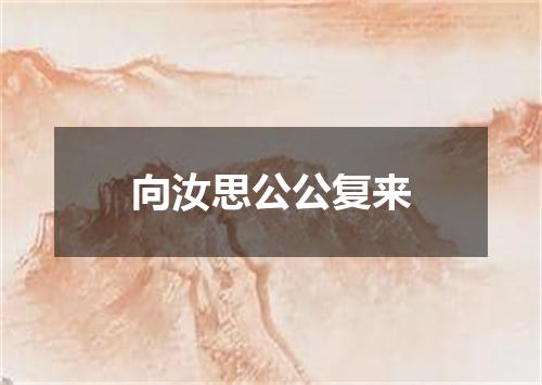 向汝思公公复来