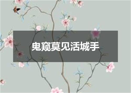 鬼窥莫见活城手