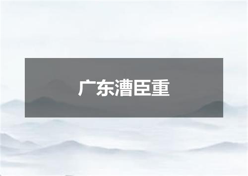 广东漕臣重