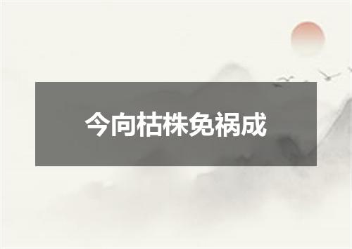 今向枯株免祸成