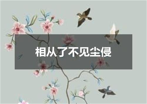 相从了不见尘侵