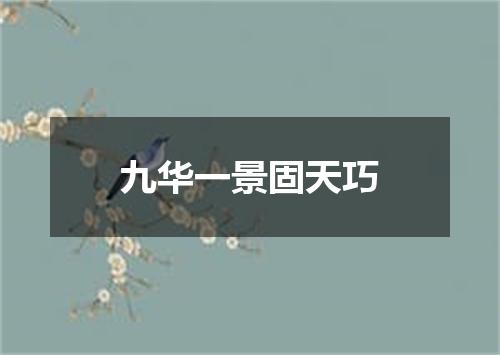 九华一景固天巧