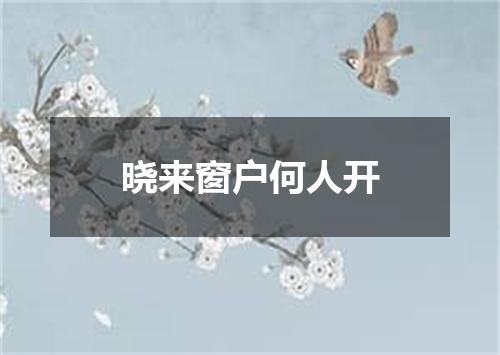 晓来窗户何人开