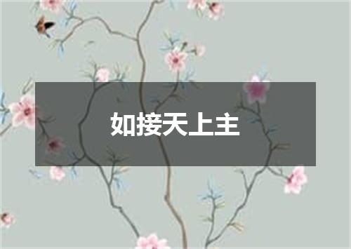 如接天上主