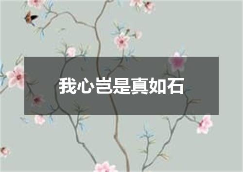 我心岂是真如石