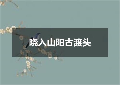 晓入山阳古渡头