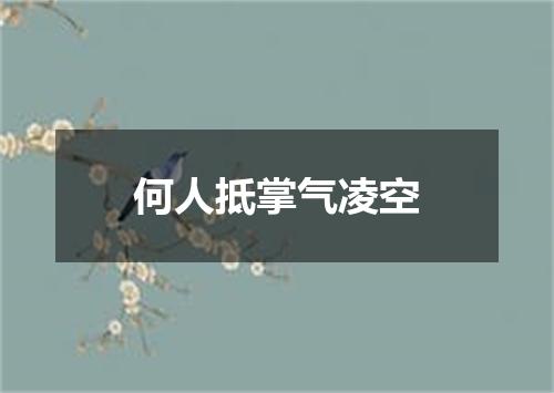 何人抵掌气凌空