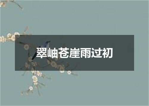 翠岫苍崖雨过初