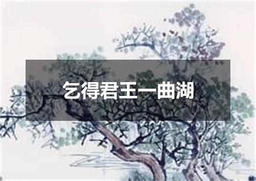 乞得君王一曲湖