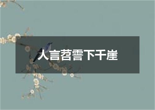 人言苕霅下千崖