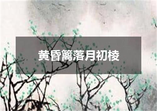 黄昏篱落月初棱