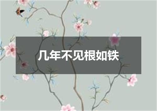 几年不见根如铁