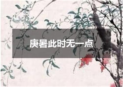 庚暑此时无一点