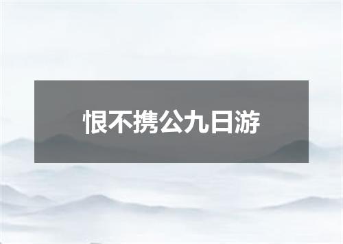 恨不携公九日游