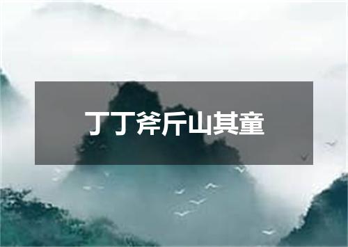 丁丁斧斤山其童