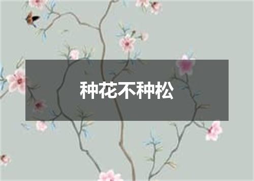 种花不种松