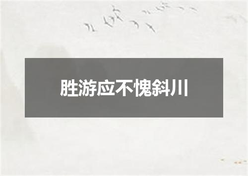 胜游应不愧斜川