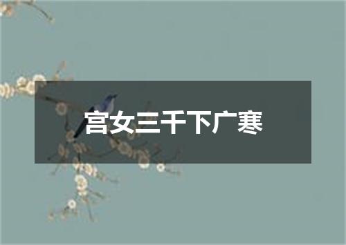 宫女三千下广寒