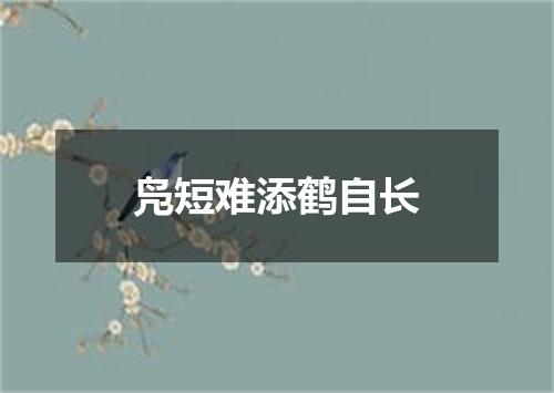 凫短难添鹤自长