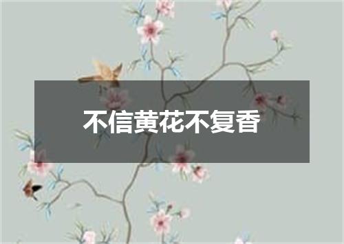 不信黄花不复香