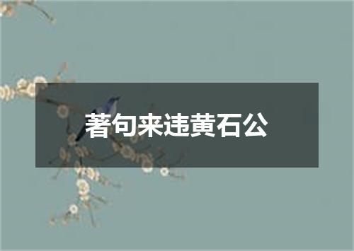 著句来违黄石公