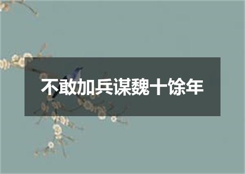 不敢加兵谋魏十馀年