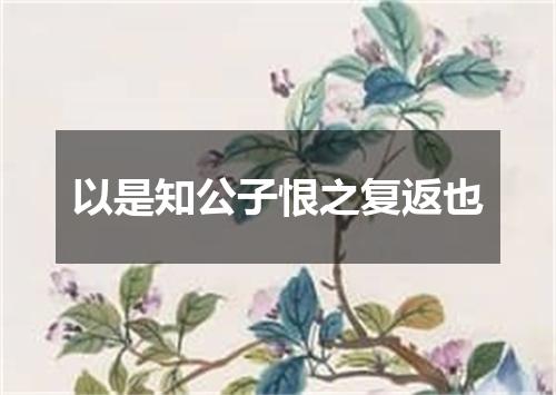 以是知公子恨之复返也