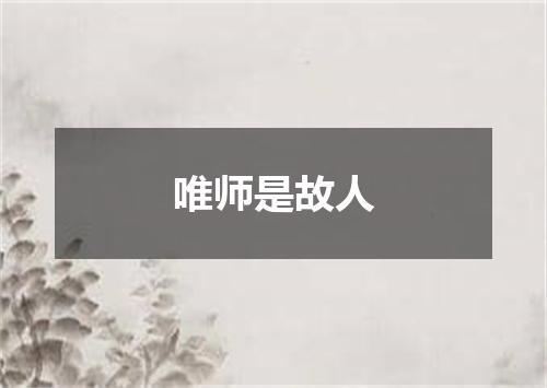 唯师是故人