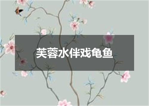 芙蓉水伴戏龟鱼