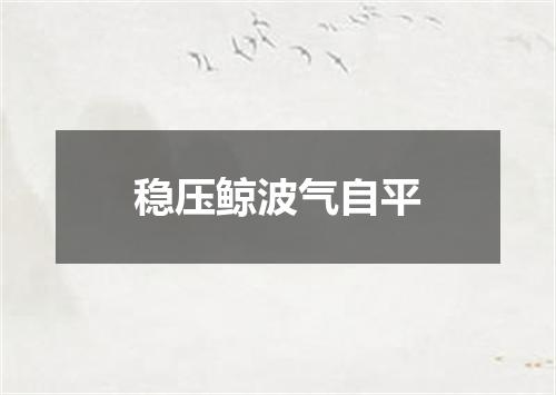 稳压鲸波气自平