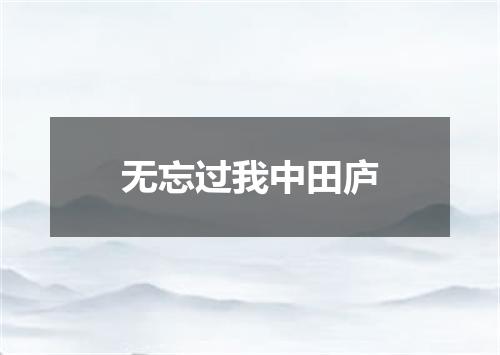 无忘过我中田庐