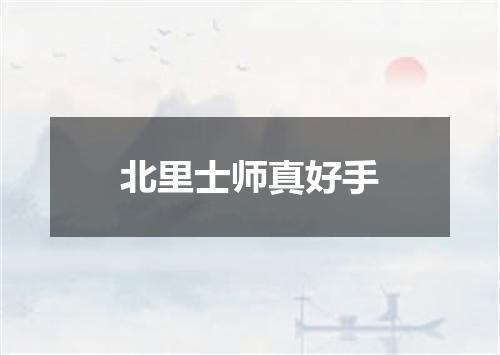 北里士师真好手