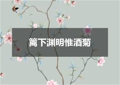 篱下渊明惟酒菊