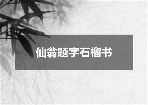 仙翁题字石榴书